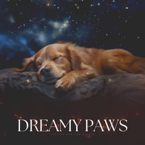 Dreamy Paws - Dog Sleep Academy