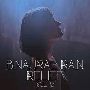 Binaural Rain Relief Vol. 2 - Spa
