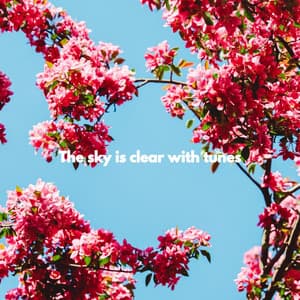 The sky is clear with tunes - Easy Listening Background Jazz