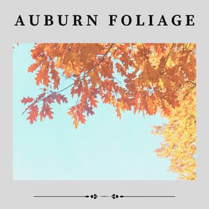 Auburn Foliage - Florida Nature