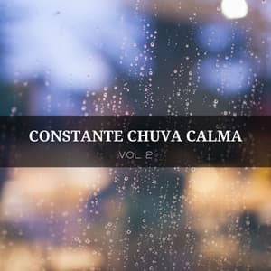Constante Chuva Calma Vol. 2 - Música Para Cães Adormecidos