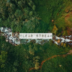 Clear Stream - Healing Nature Sounds