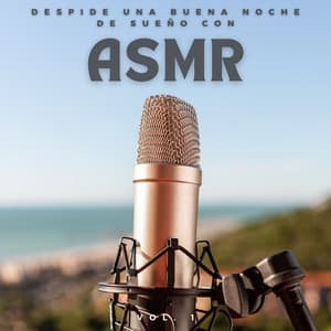 Despide Una Buena Noche De Sueño Con Asmr Vol. 1 - Asmr
