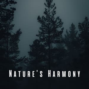 Nature's Harmony: Meditative Cicada Sounds - Total ASMR