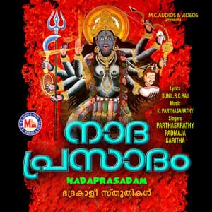 Nadaprasadam - Parthasarathy