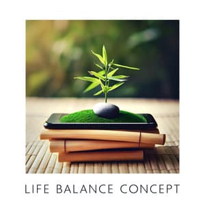Life Balance Concept: Balancing Mind, Soul and Spirit, Mental Meditation Music - Mind Harmony