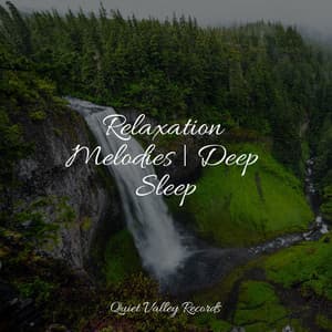 Relaxation Melodies | Deep Sleep - Rain Spa