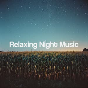 Relaxing Night Music - Relaxing Spa Music