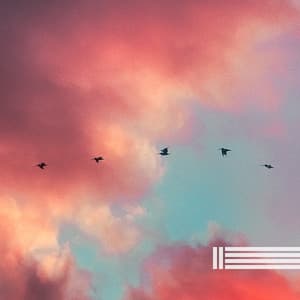 Sounds Of Birds And Forest - Sounds Of Birds & Forest