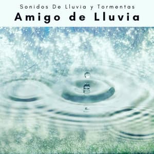 1 Amigo de Lluvia - Sonidos De Lluvia y Tormentas