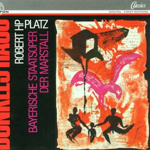 Robert HP Platz: Dunkles Haus - Robert HP Platz