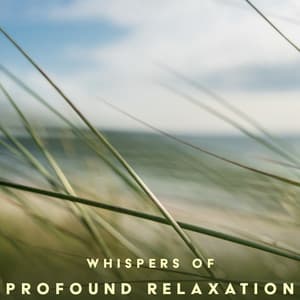 Whispers of Profound Relaxation: Music to Help You Unwind after a Long Day - Quiet Music Oasis