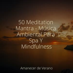 50 Meditation Mantra - Música Ambiental Para Spa Y Mindfulness - Meditación Maestro