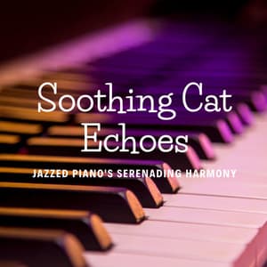 Soothing Cat Echoes: Jazzed Piano's Serenading Harmony - Coffeehouse Quartet