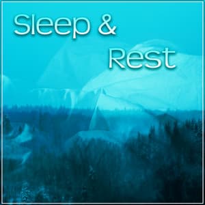 Sleep & Rest – Peaceful Sounds of Nature for Sleep to Help You Relax Before Sleep, Have a Nice Dream - Better Sleep Oasis