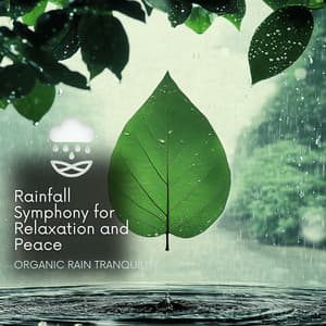 Rainfall Symphony for Relaxation and Peace - Organic Rain Tranquility