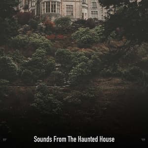 !!!!" Sounds From The Haunted House "!!!! - Halloween Music