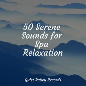 50 Serene Sounds for Spa Relaxation - Sleep Lullabies for Newborn