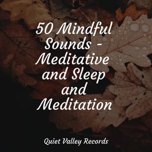 50 Mindful Sounds - Meditative and Sleep and Meditation - Big Sounds