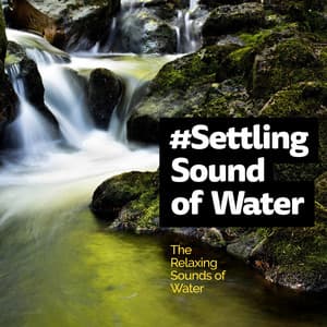 #Settling Sound of Water - The Relaxing Sounds of Water