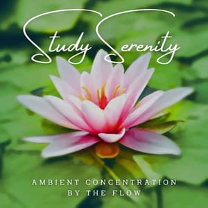 Water's Study Serenity: Ambient Concentration by the Flow - Waters of Deluge