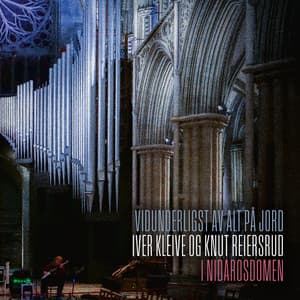 Vidunderligst av alt på jord - Knut Reiersrud