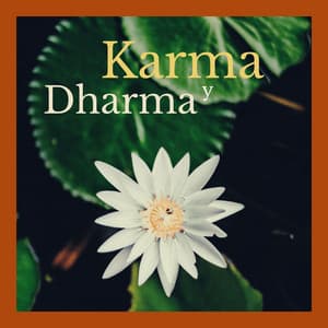 Karma y Dharma: Música Instrumental Indú - Música De La India