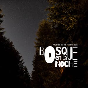 bosque en la noche - Música de la Naturaleza