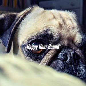 Happy Hour Hound - Classy Relaxing Dog Music