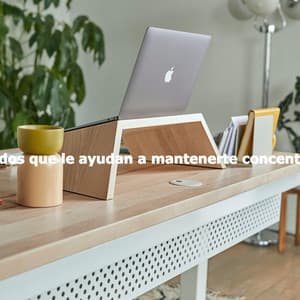 Sonidos que le ayudan a mantenerte concentrado - Harlem Jazz Guitar Quartet