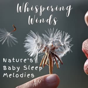 Whispering Winds - Nature's Baby Sleep Melodies - windlesity