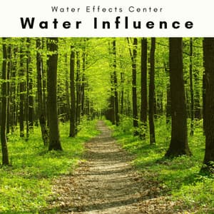 A Water Influence - Water Effects Center