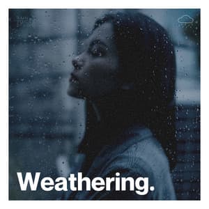 Weathering - The Rainforest Collective