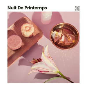Nuit De Printemps - Douce détente academie