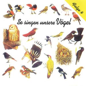 So singen unsere Vögel, Folge 4 - Vogelstimmen