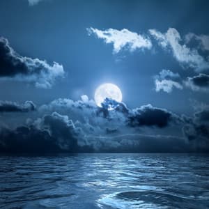 Ocean's Lullaby: Soothing Waves in the Night - Ocean Sounds