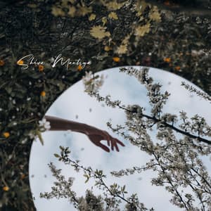 Aura Threads Through Hollow Dawn - Shiva Mantrya