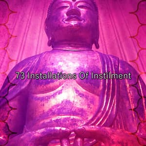 73 Installations Of Instilment - Musica Para Meditacion Profunda