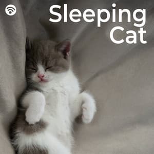 Sleeping Cat - The Cat Relaxer