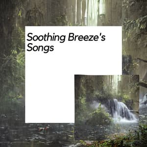 Soothing Breeze's Songs - Nature Meditation Channel