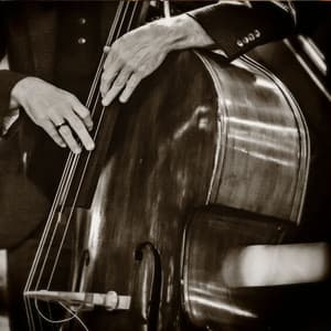 Heartstrings - Soothing Symphony