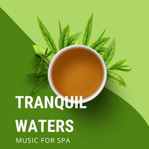 Tranquil Waters: Music for Spa - Tranquil Journeys