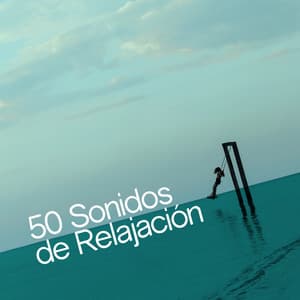 50 Sonidos de Relajación - Música a Relajarse