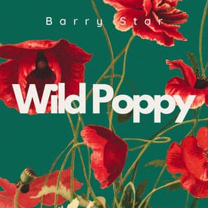 Wild Poppy: Jazz Echoes Beneath Crimson Petals - Barry Star