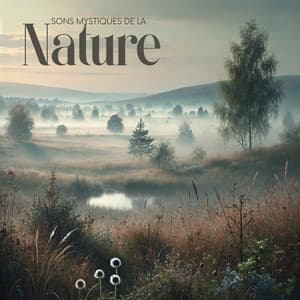 Sons mystiques de la nature - Musique Coeur de la Nature