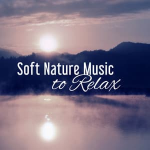 Soft Nature Music to Relax – Music to Calm Down, Relaxing Sounds, New Age, Nature Calmness, Chilled Music - Total Relax Zone