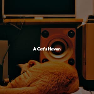 A Cat's Haven - New Orleans Jazz Radio