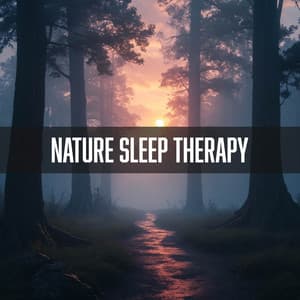 Soothing Rainfall: Sleep, Relax & Meditate with Nature - Nature Sleep Therapy