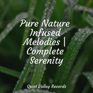 Pure Nature Infused Melodies | Complete Serenity - Rain Sounds & Nature Sounds