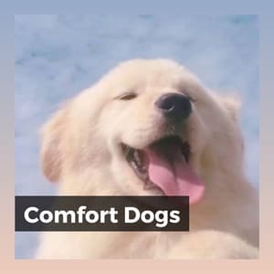 Comfort Dogs - Dog Music